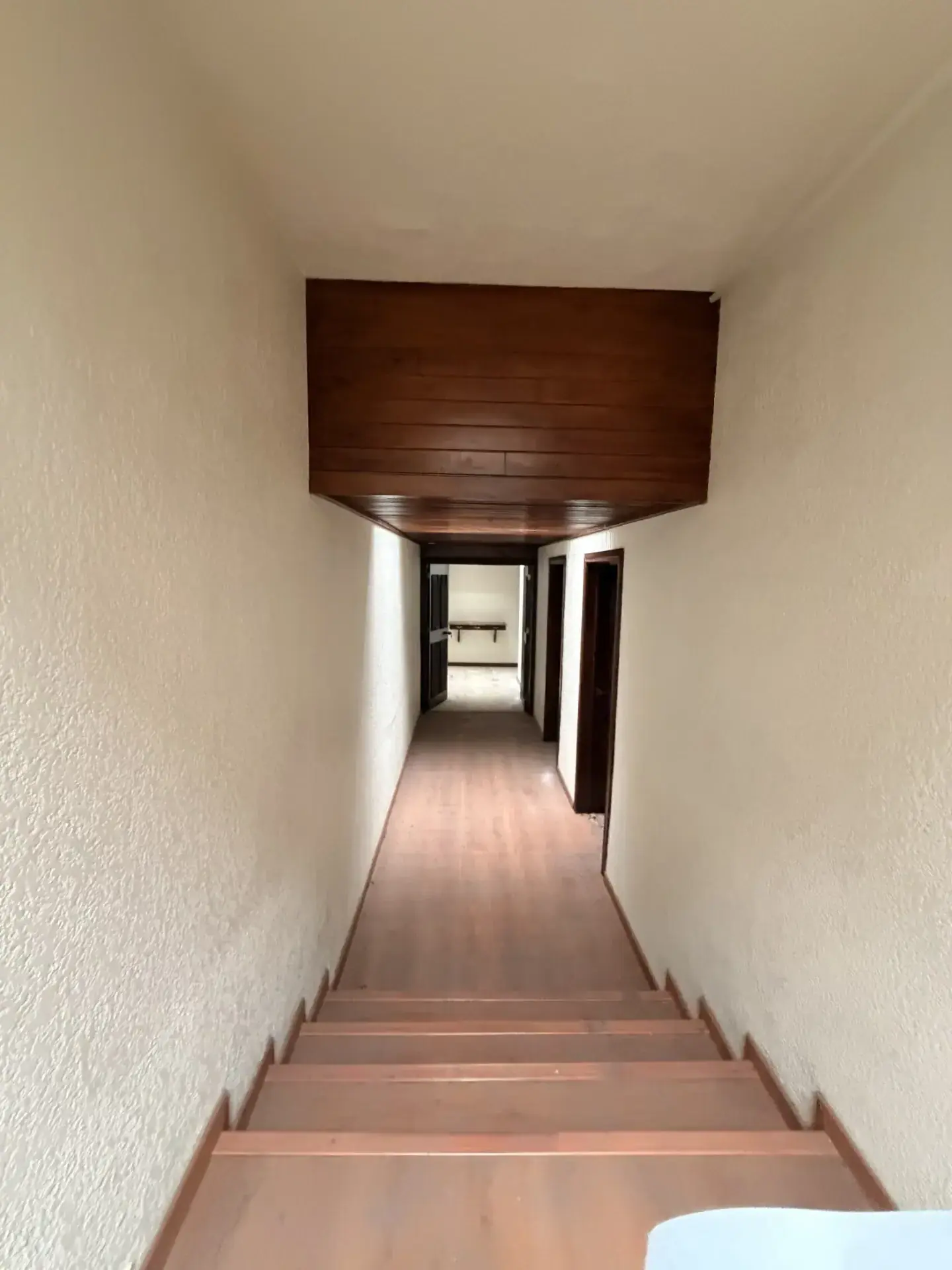Servicio de demolicion residencial con personal y maquinaria especializada, enfocado en seguridad, retiro de escombro y avance de obra en Guadalajara, Jalisco.